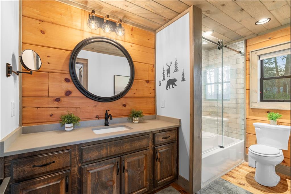 447 Pig Trail Cherry Log, GA 30522 - Photo 29 of 71 a bathroom with a toilet a sink and a mirror