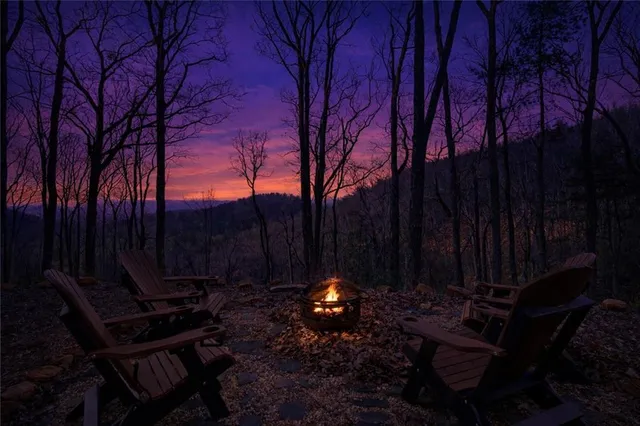 $650,000 | 447 Pig Trail, Cherry Log, GA 30522