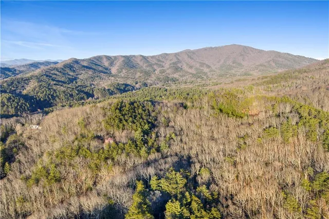 $650,000 | 447 Pig Trail, Cherry Log, GA 30522