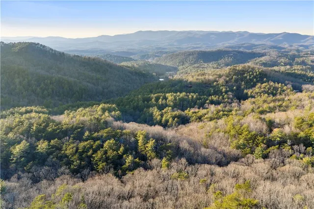 $650,000 | 447 Pig Trail, Cherry Log, GA 30522