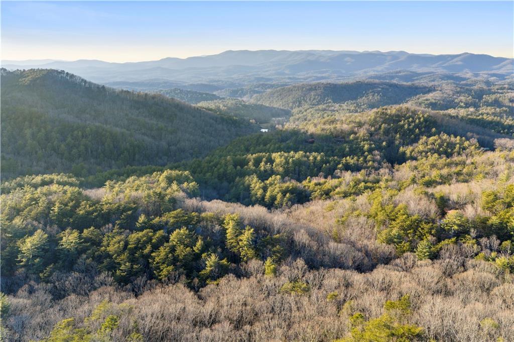 447 Pig Trail Cherry Log, GA 30522 - Photo 67 of 71 a view of a lush green hillside and houses