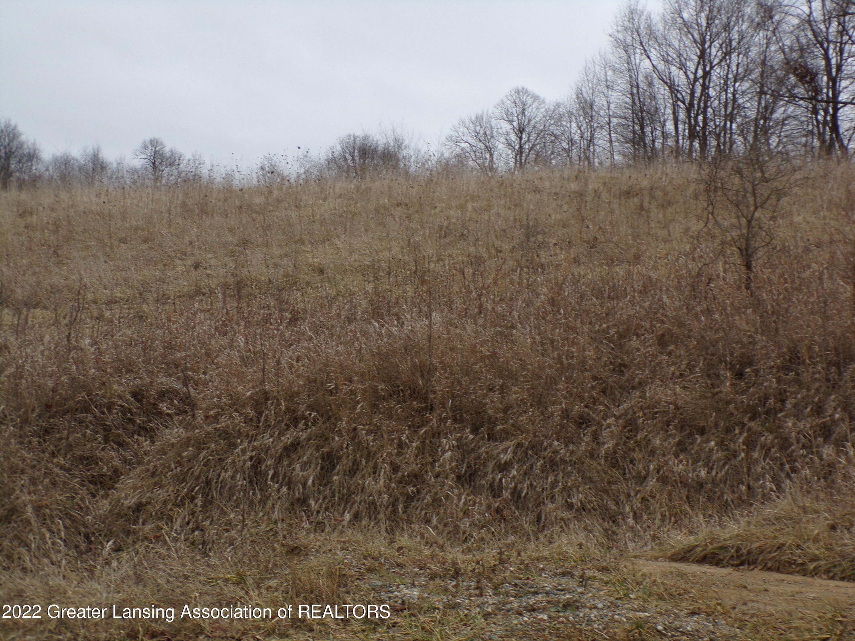 0 Curtis Road Bellevue, MI 49021 - Photo 25 of 33 100_0048