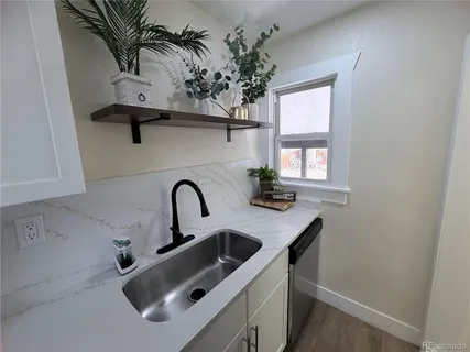a close view of a sink a faucet a potted plant and a counter space