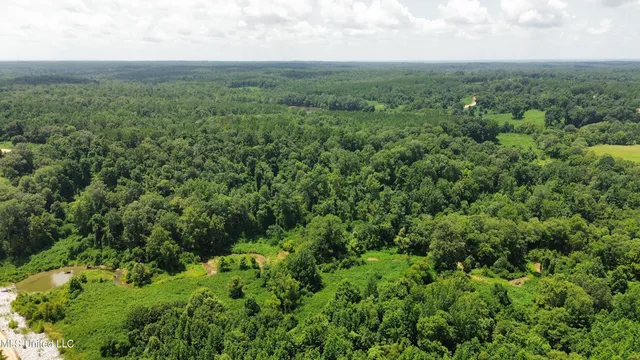 $165,000 | Ascalmore Creek Road Road, Cascilla, MS 38920