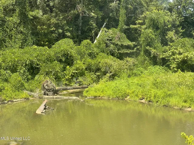 $165,000 | Ascalmore Creek Road Road, Cascilla, MS 38920