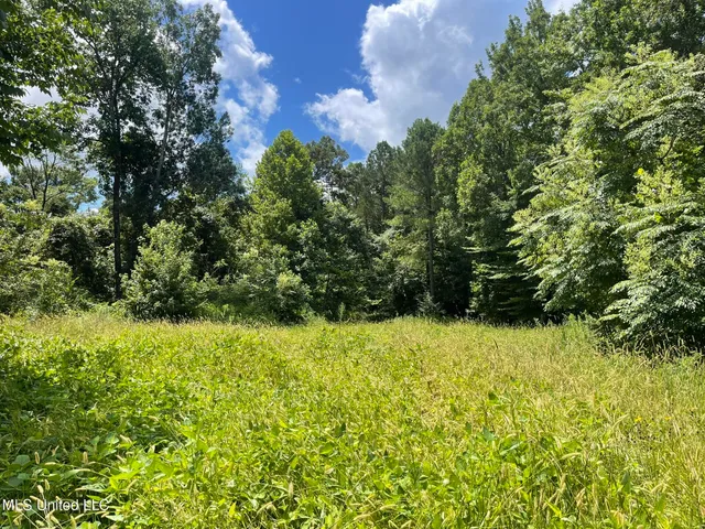 $165,000 | Ascalmore Creek Road Road, Cascilla, MS 38920