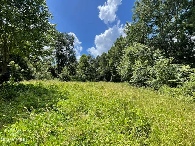 $165,000 | Ascalmore Creek Road Road, Cascilla, MS 38920
