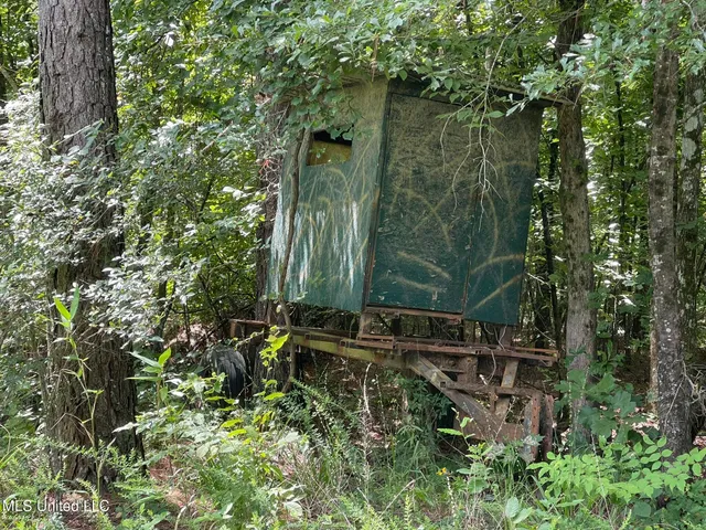 $165,000 | Ascalmore Creek Road Road, Cascilla, MS 38920