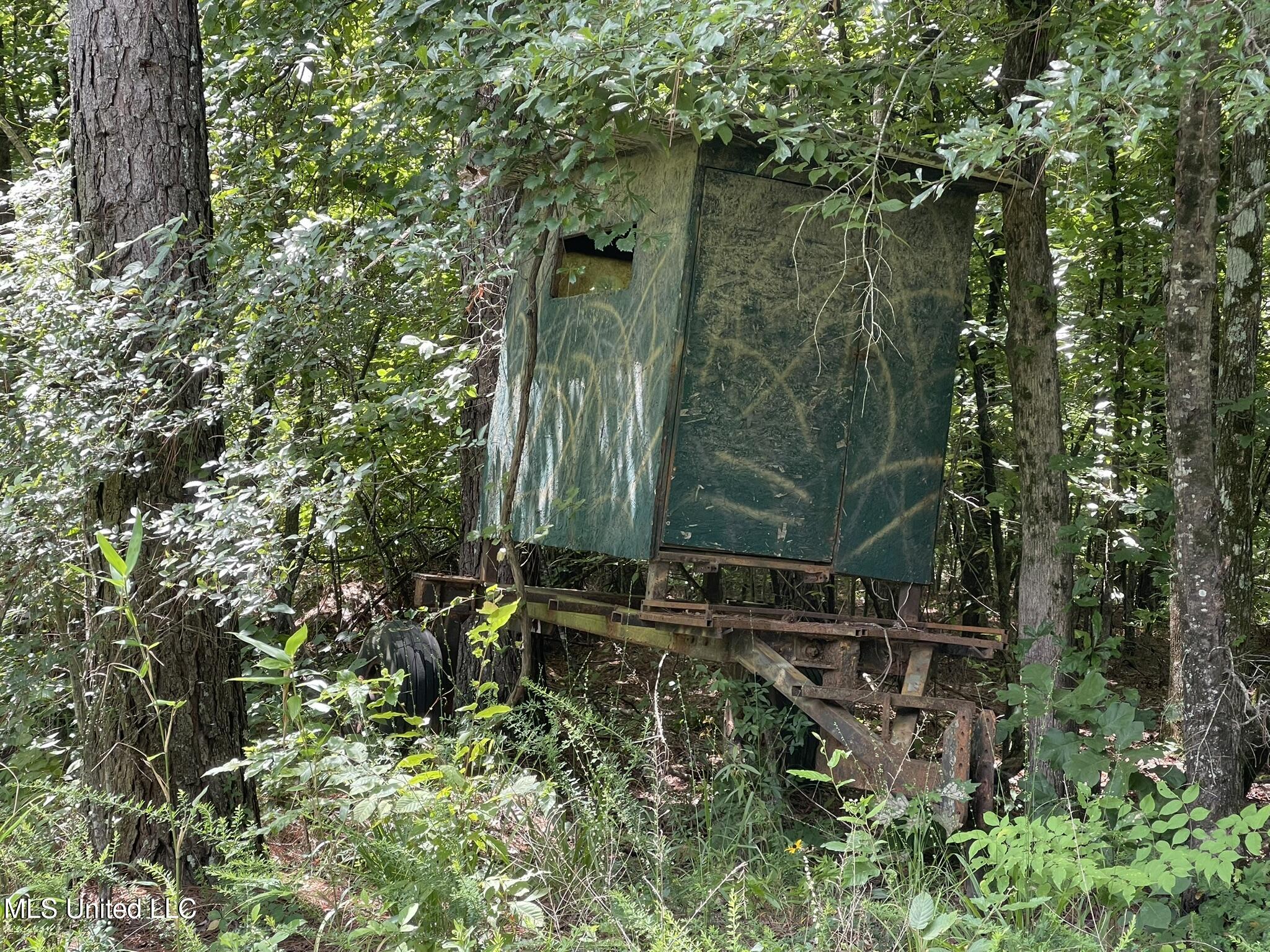 Ascalmore Creek Road Road Cascilla, MS 38920 - Photo 14 of 17 IMG_5017