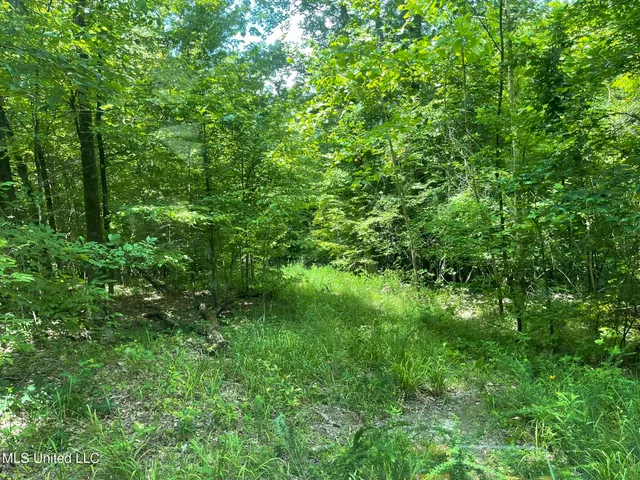 $165,000 | Ascalmore Creek Road Road, Cascilla, MS 38920