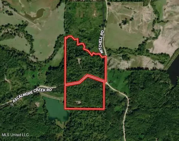 $165,000 | Ascalmore Creek Road Road, Cascilla, MS 38920