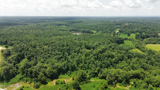 $165,000 | Ascalmore Creek Road Road, Cascilla, MS 38920