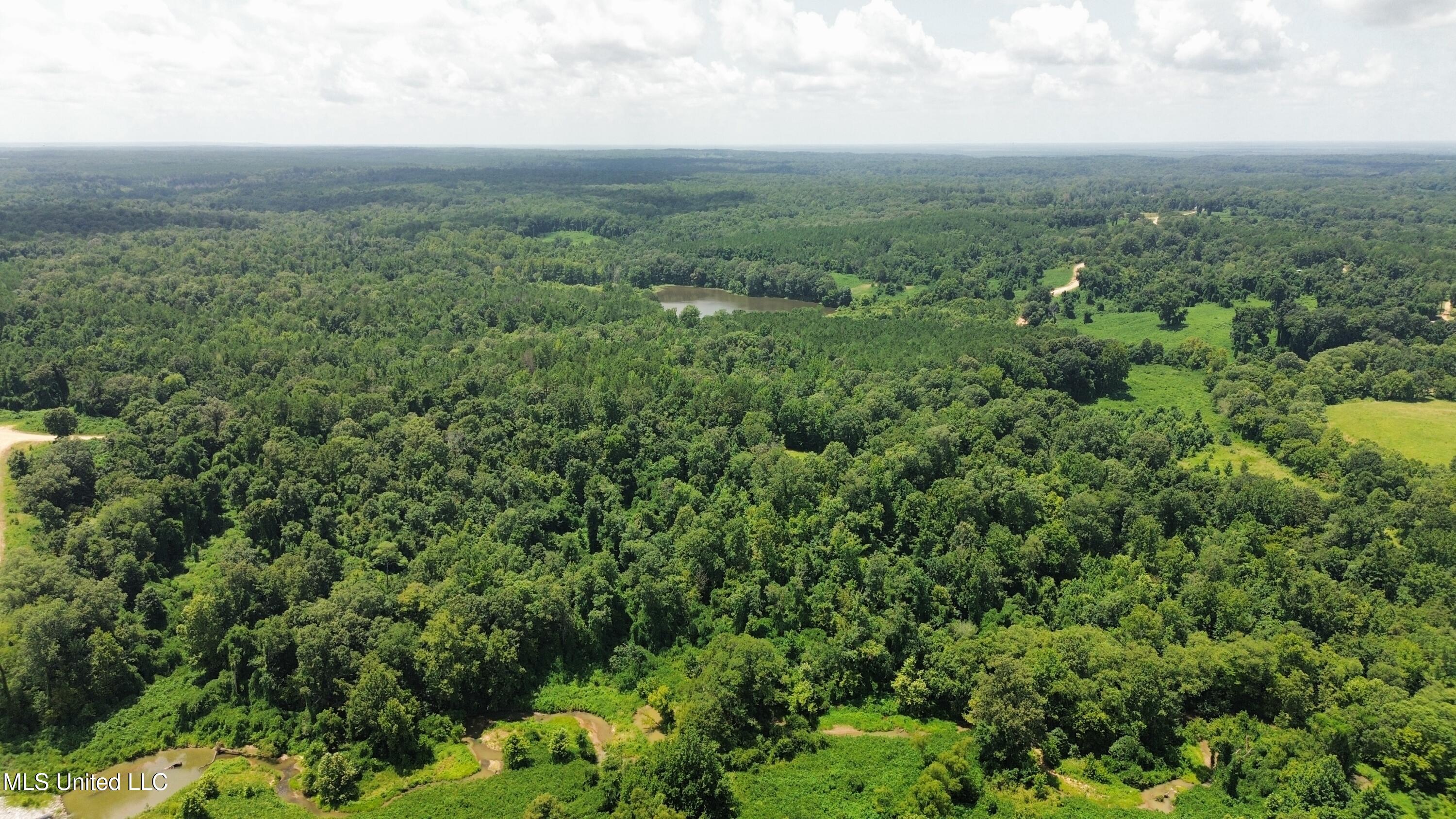 Ascalmore Creek Road Road Cascilla, MS 38920 - Photo 3 of 17 dji_fly_20250710_153318_371_175243753883