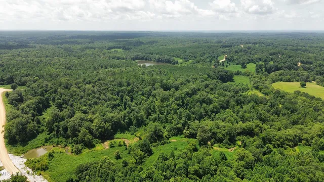 $165,000 | Ascalmore Creek Road Road, Cascilla, MS 38920