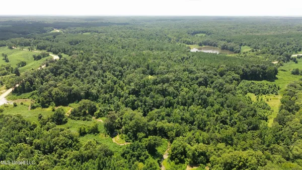 $165,000 | Ascalmore Creek Road Road, Cascilla, MS 38920