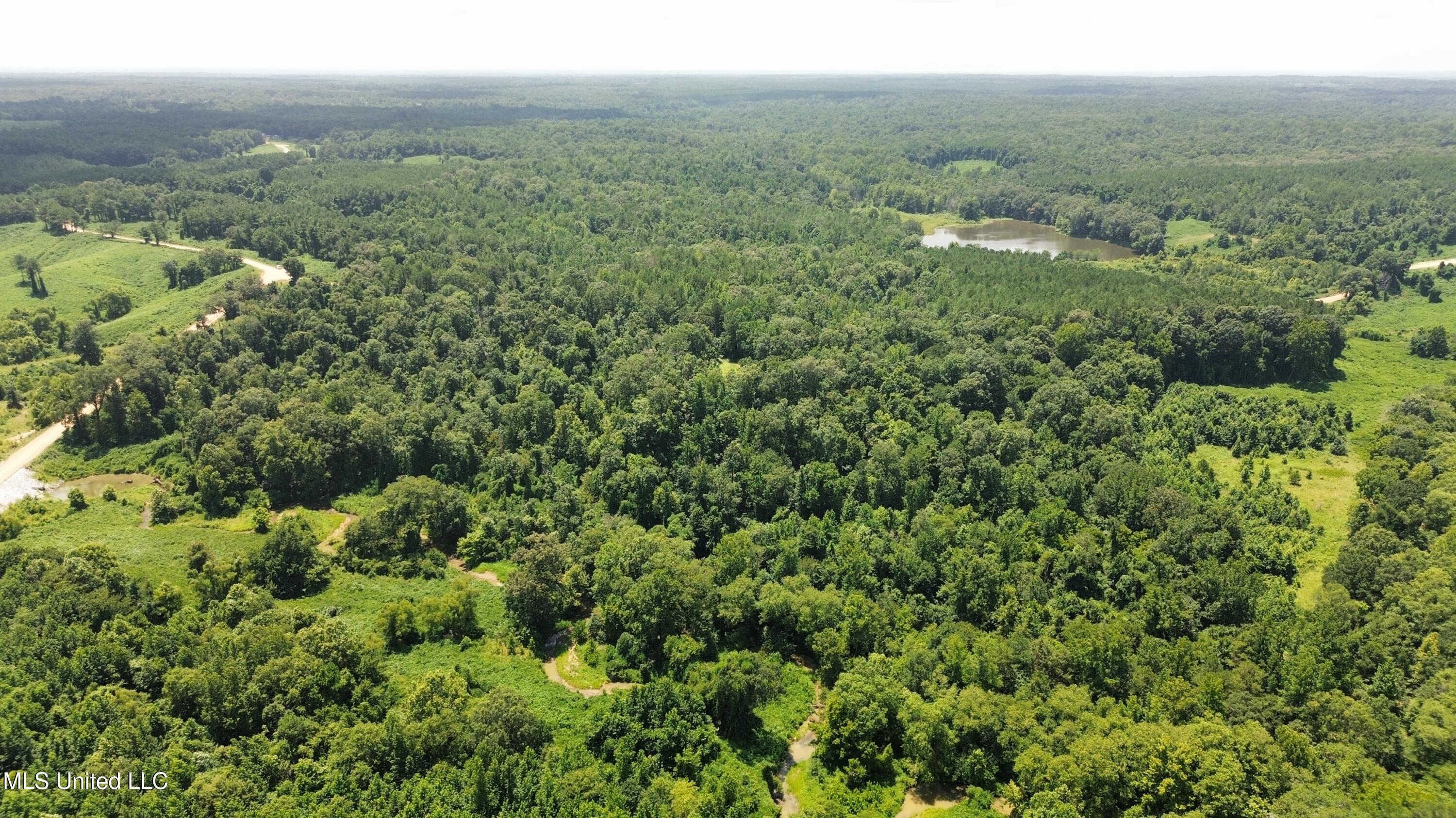 Ascalmore Creek Road Road Cascilla, MS 38920 - Photo 6 of 17 dji_fly_20250710_154054_383_175243751214