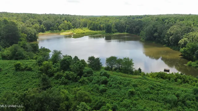 $165,000 | Ascalmore Creek Road Road, Cascilla, MS 38920