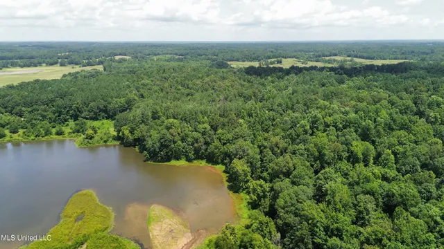 $165,000 | Ascalmore Creek Road Road, Cascilla, MS 38920