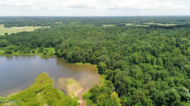 $165,000 | Ascalmore Creek Road Road, Cascilla, MS 38920