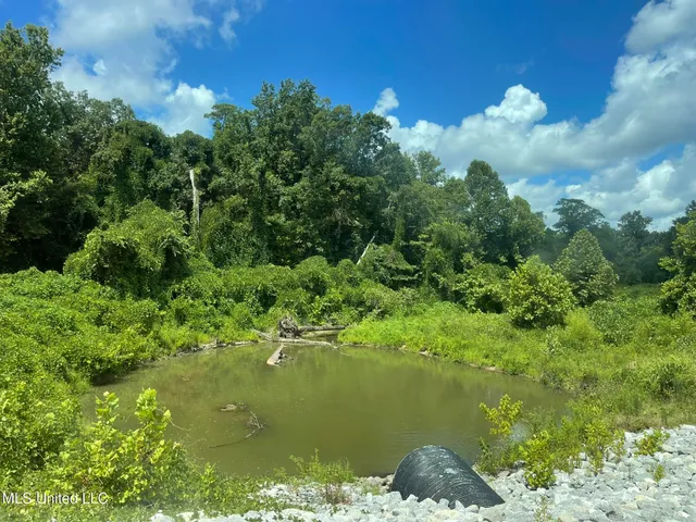 $165,000 | Ascalmore Creek Road Road, Cascilla, MS 38920