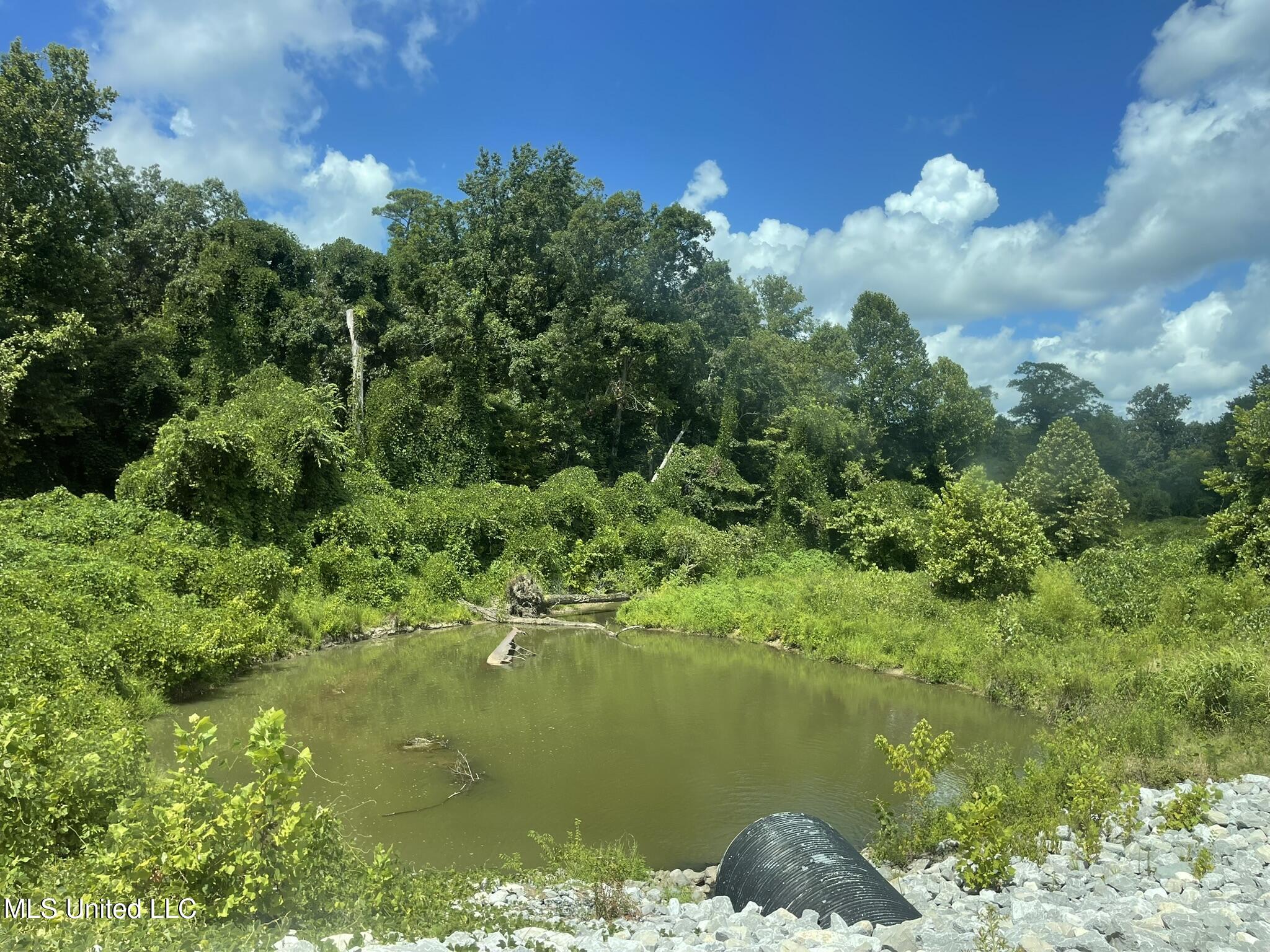 Ascalmore Creek Road Road Cascilla, MS 38920 - Photo 10 of 17 IMG_5013