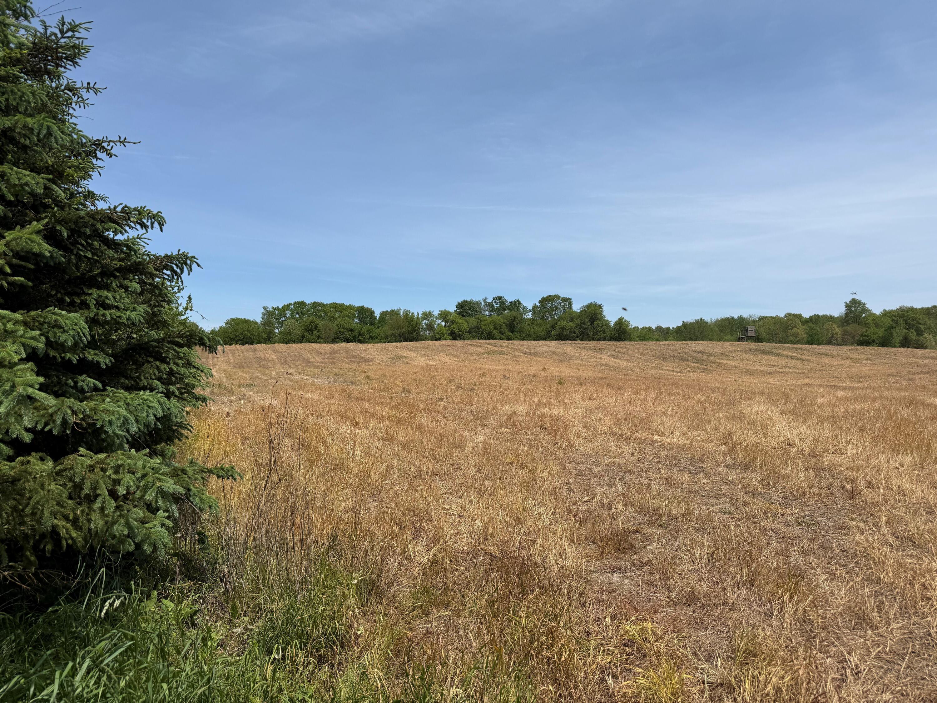 Vl Kingsbury Road Delton, MI 49046 - Photo 3 of 4 3