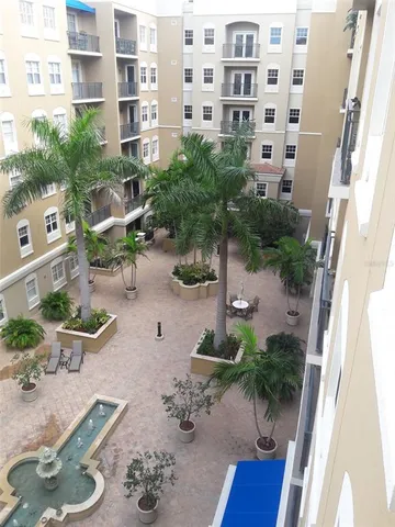 a view of a trees in a park