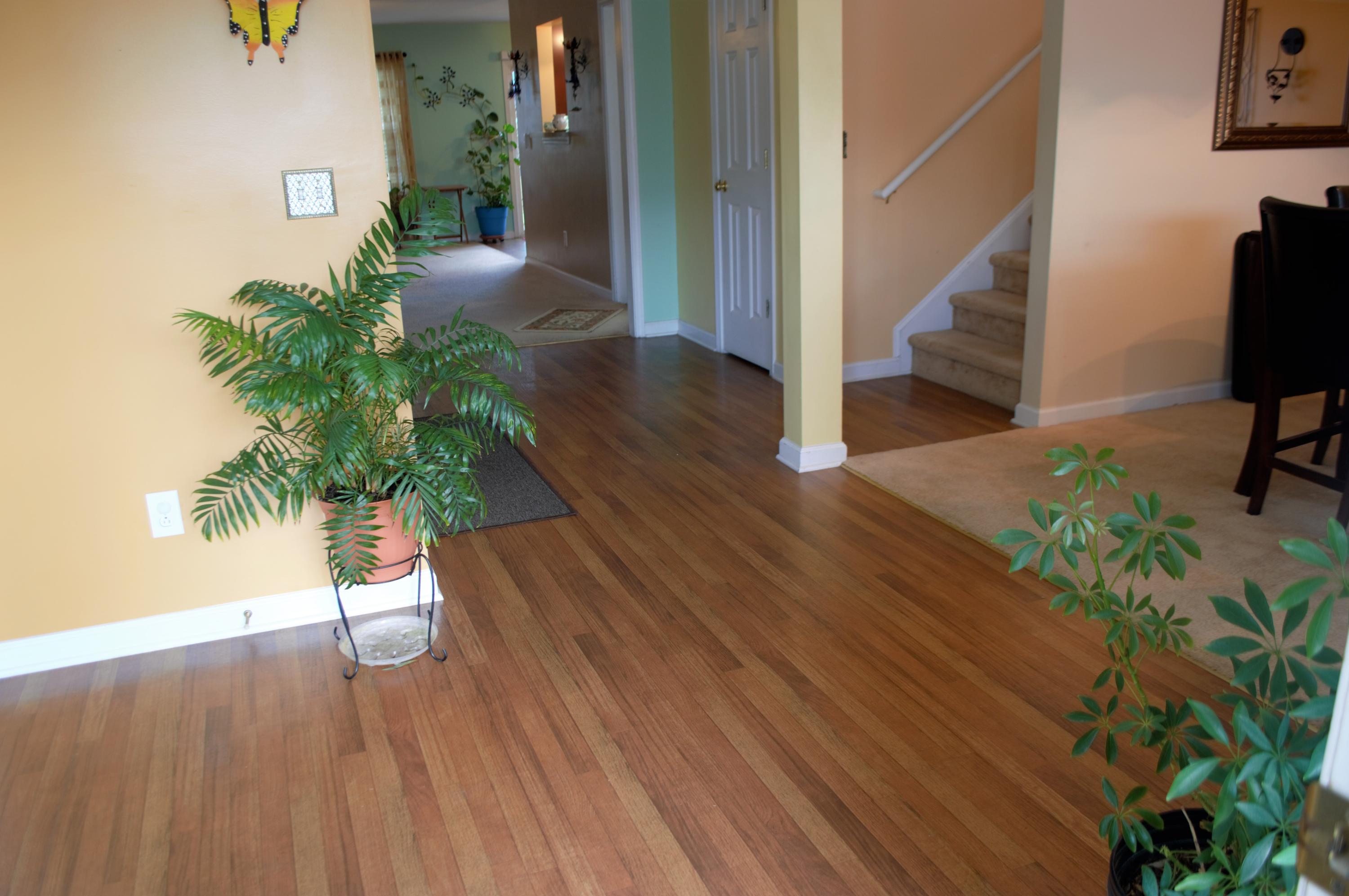 3547 Galaxy Road Ladson, SC 29456 - Photo 4 of 28 DSC_0419