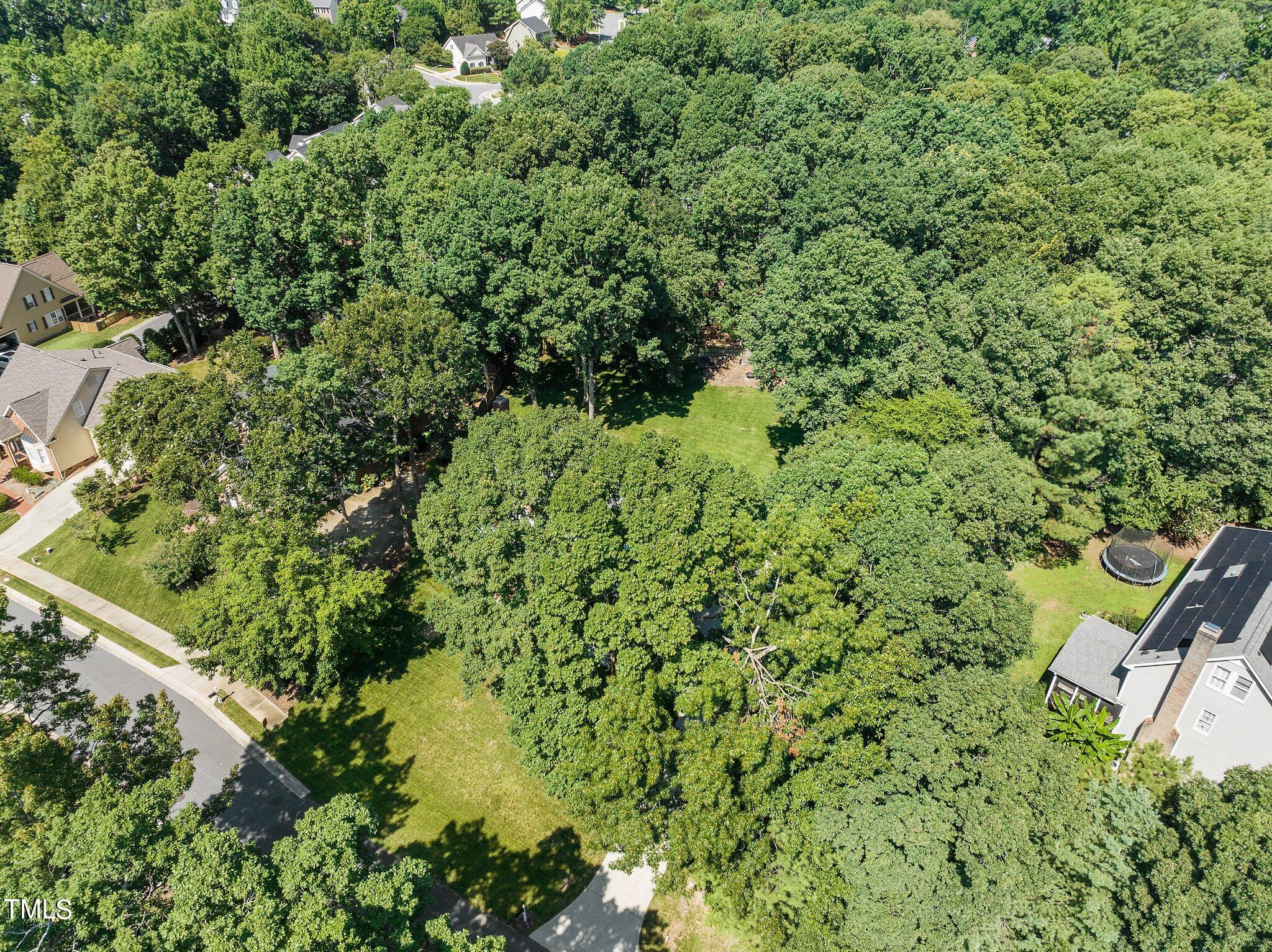 1421 Kings Lassiter Way Raleigh, NC 27614 - Photo 52 of 53 Aerial View