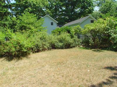 9770 Baldwin Road Bridgman, MI 49106 - Photo 4 of 13 Additional Photo