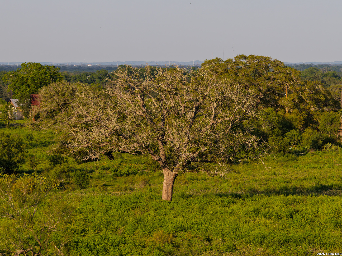 430 Watts Road Kingsbury, TX 78638 - Photo 19 of 37 a view of a field
