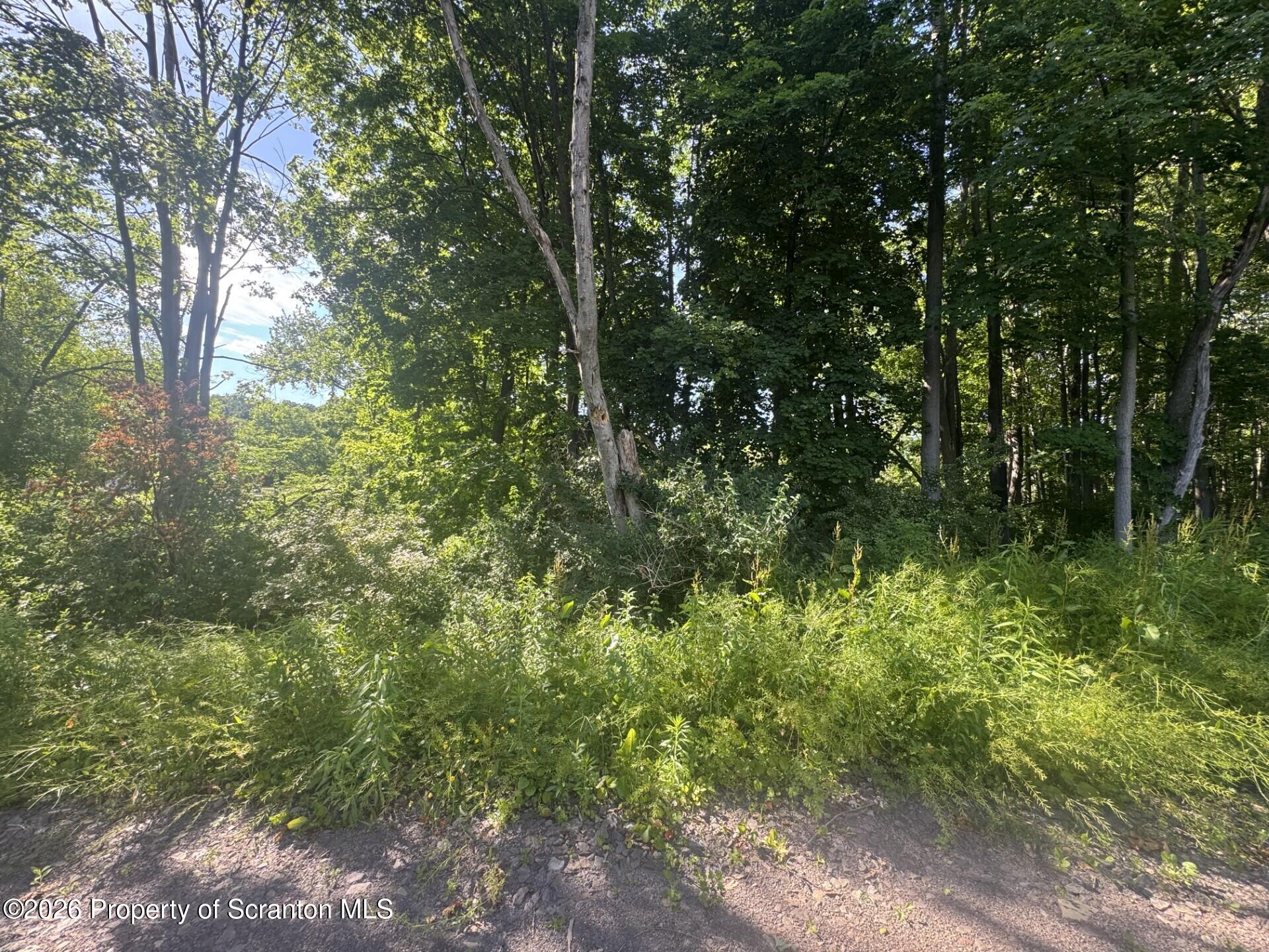 Fern Street Clarks Summit, PA 18411 - Photo 3 of 4 Acreage