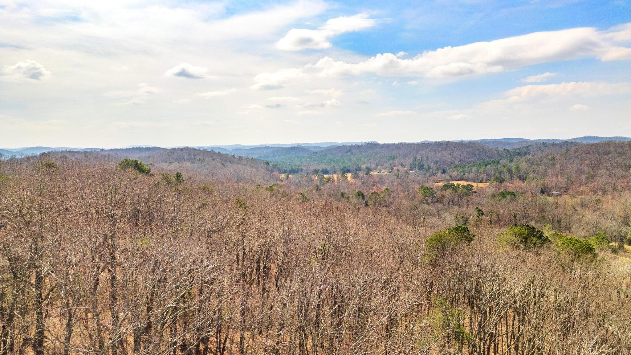 772 Rabbit Valley Road Northwest Cleveland, TN 37312 - Photo 3 of 13 an aerial view of houses covered in trees