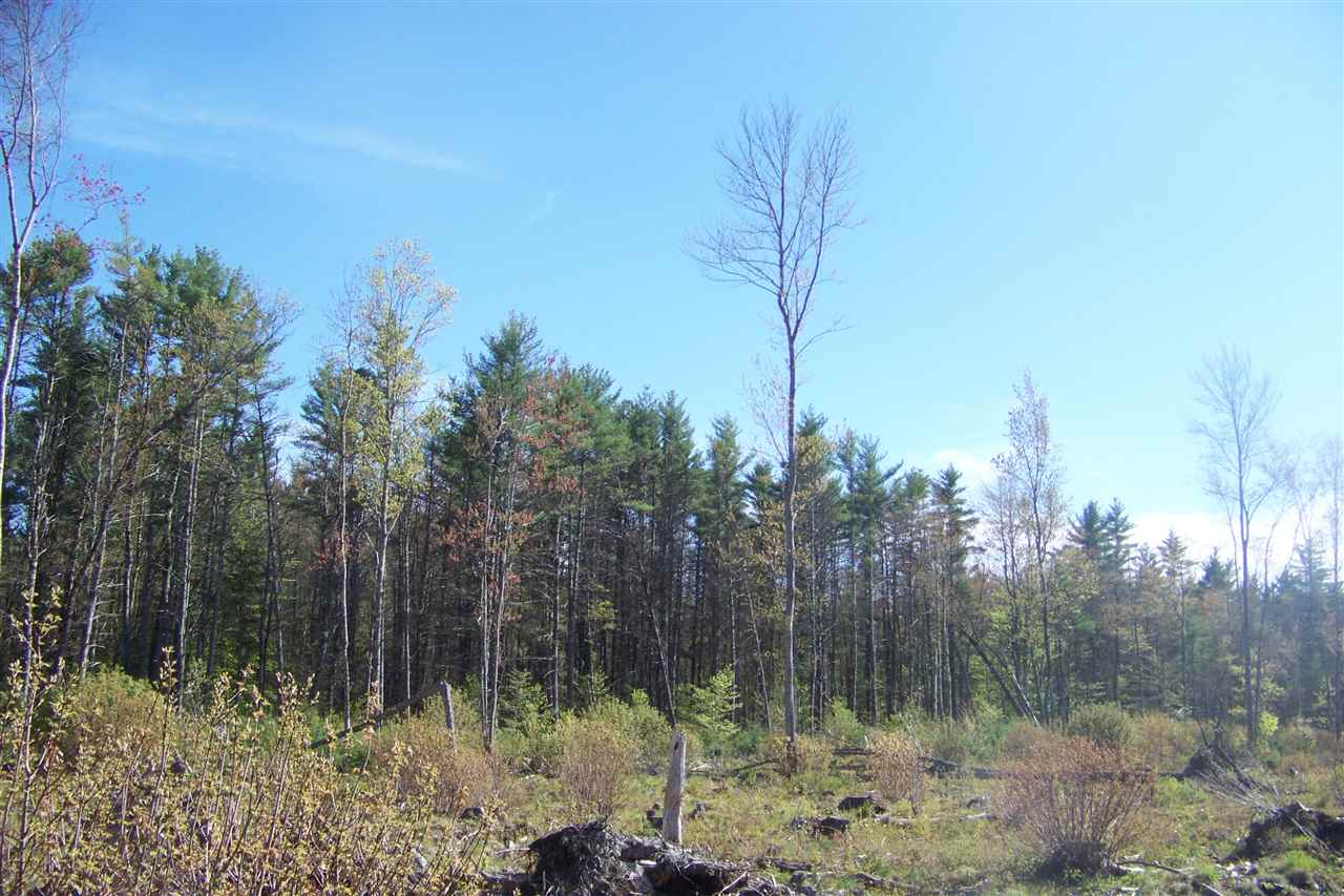 299 Little River Road Berwick, ME 03901 - Photo 11 of 15 Gallery Image 11
