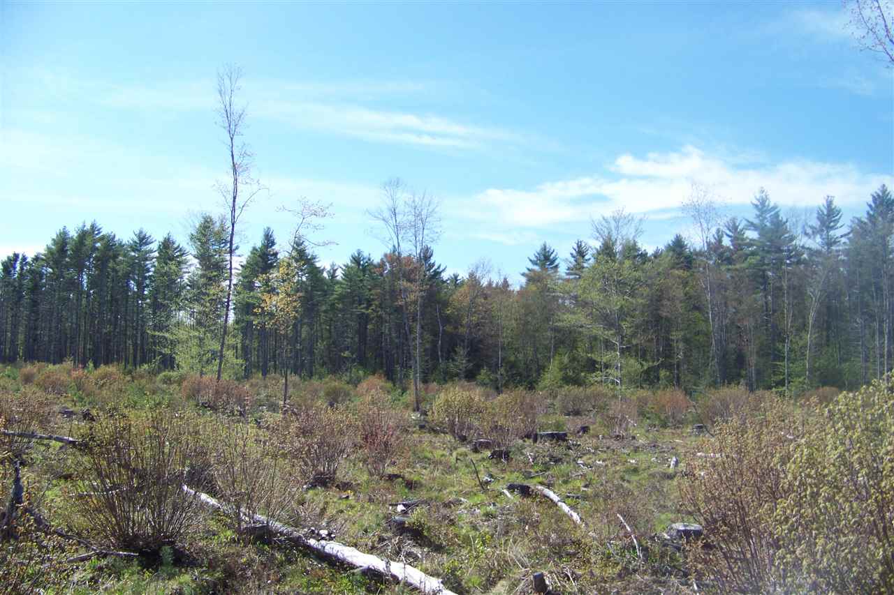 299 Little River Road Berwick, ME 03901 - Photo 12 of 15 Gallery Image 12