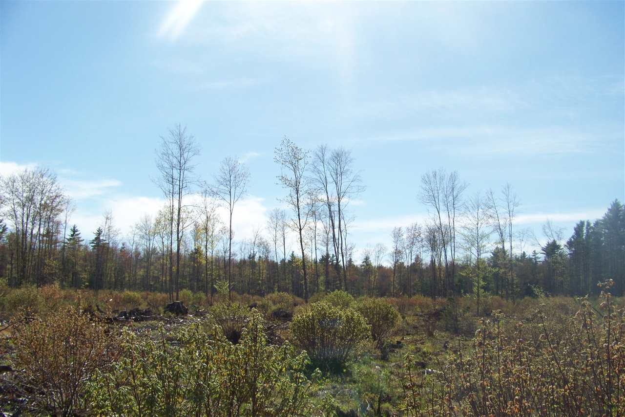 299 Little River Road Berwick, ME 03901 - Photo 13 of 15 Gallery Image 13