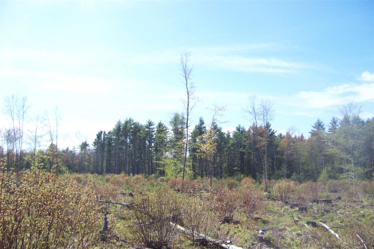 299 Little River Road Berwick, ME 03901 - Photo 10 of 15 Gallery Image 10
