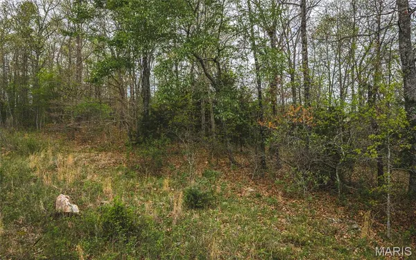$49,900 | 31263 Private Drive 6265, Edgar Springs, MO 65462
