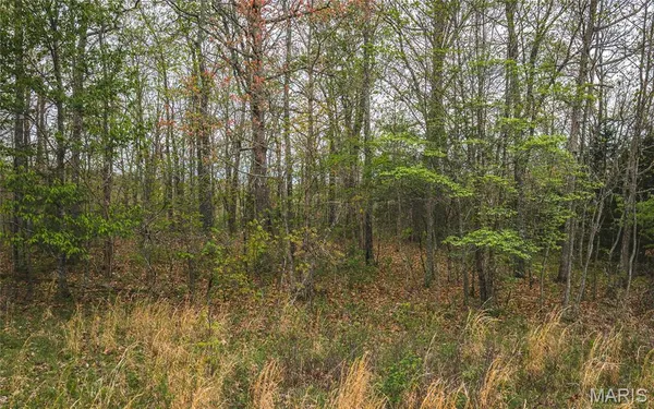 $49,900 | 31263 Private Drive 6265, Edgar Springs, MO 65462