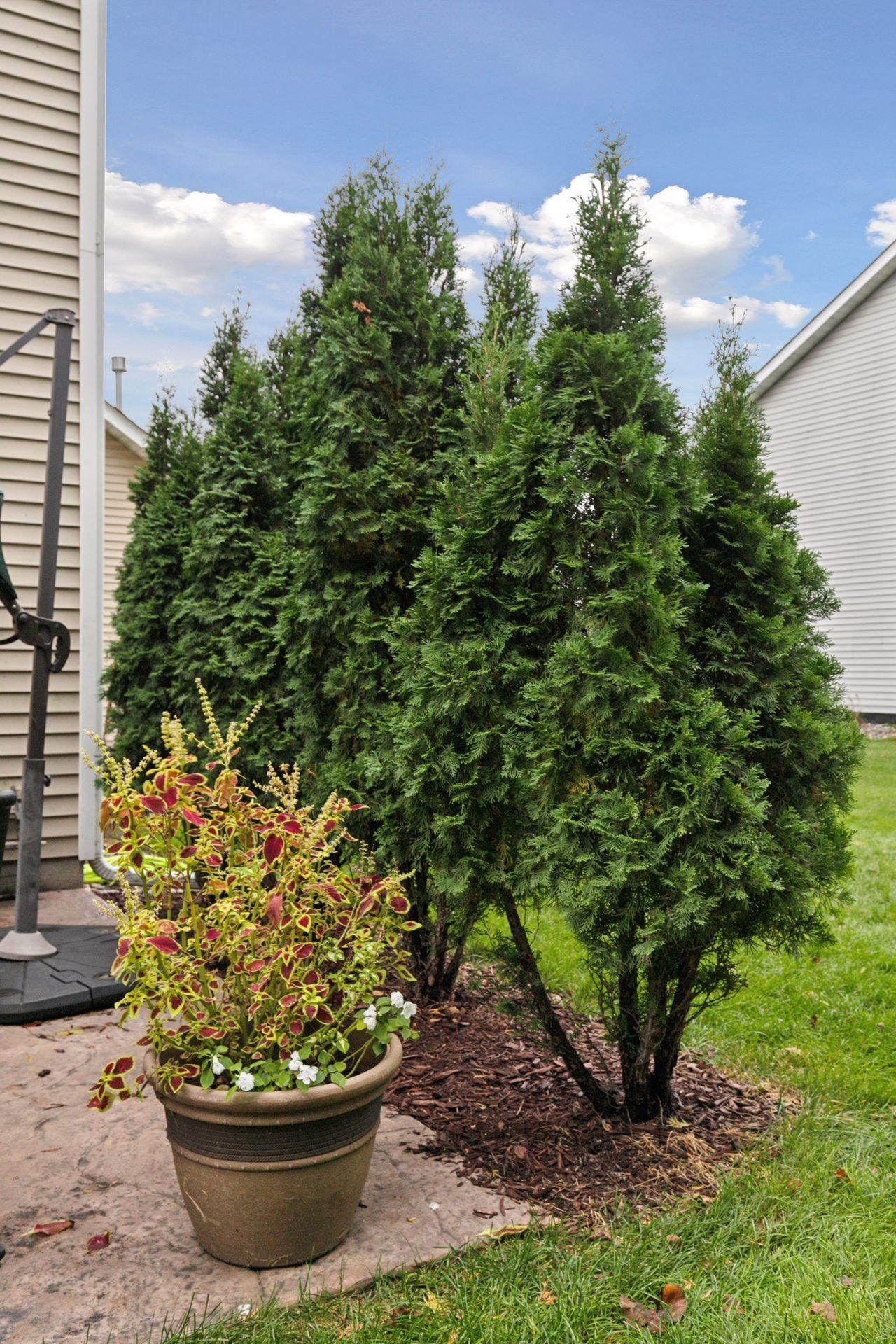 5484 Snell Court Southeast Prior Lake, MN 55372 - Photo 32 of 35