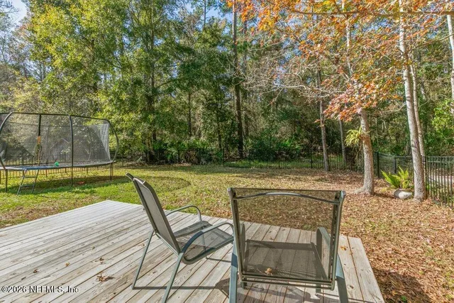 a view of a yard with plants and large trees