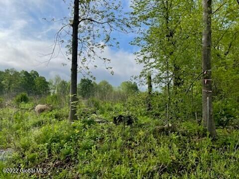 48 Green Barn Road Kingsbury, NY 12839 - Photo 1 of 5 3