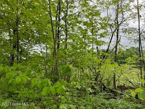 48 Green Barn Road Kingsbury, NY 12839 - Photo 2 of 5 1