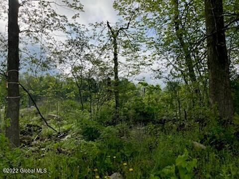 48 Green Barn Road Kingsbury, NY 12839 - Photo 3 of 5 2