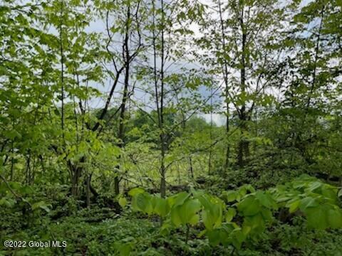 48 Green Barn Road Kingsbury, NY 12839 - Photo 4 of 5 4