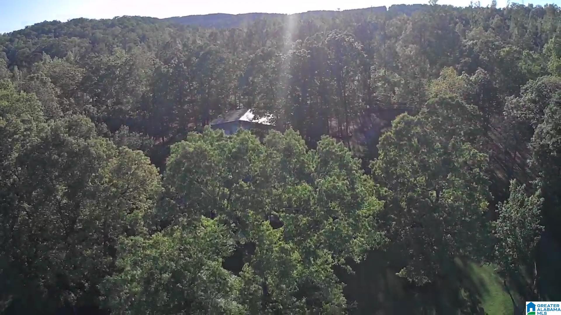 10415 Lowimoore Road Alexandria, AL 36250 - Photo 90 of 90