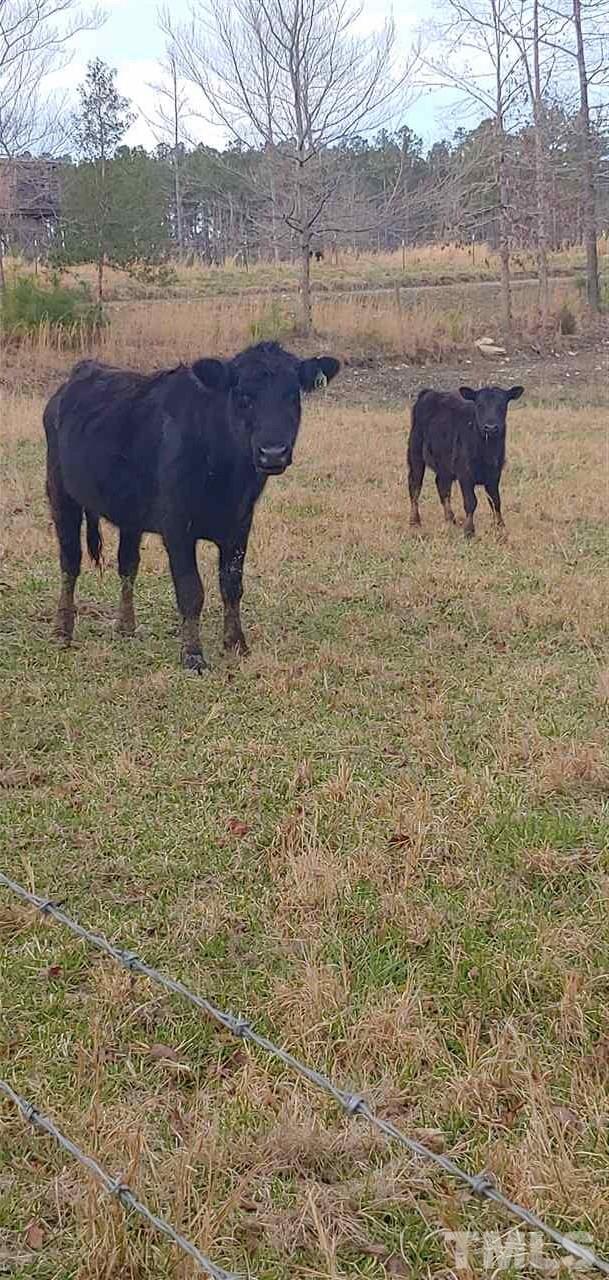 South River Road Lillington, NC 27546 - Photo 17 of 30 Gallery Image 17