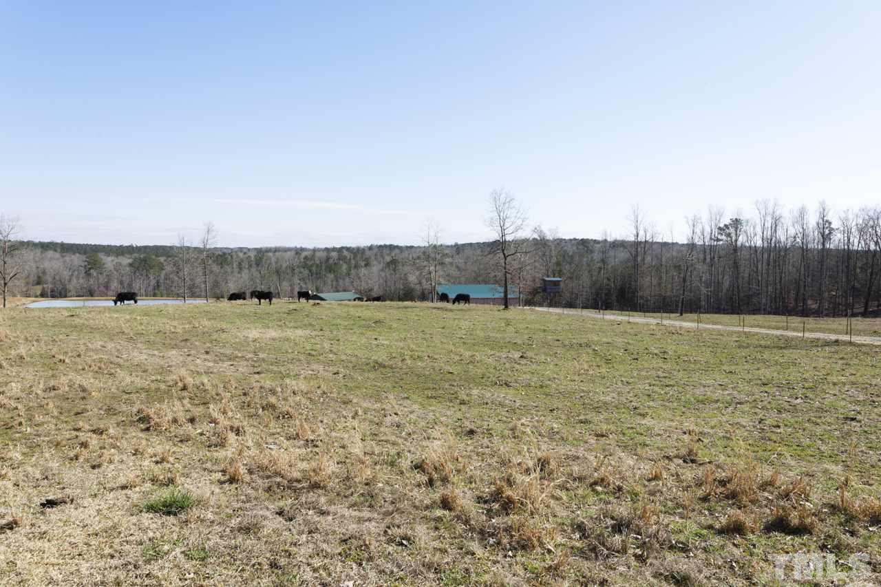 South River Road Lillington, NC 27546 - Photo 19 of 30 Gallery Image 19