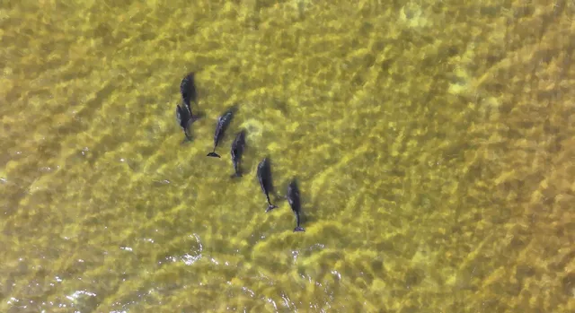 a view of a wooden fence