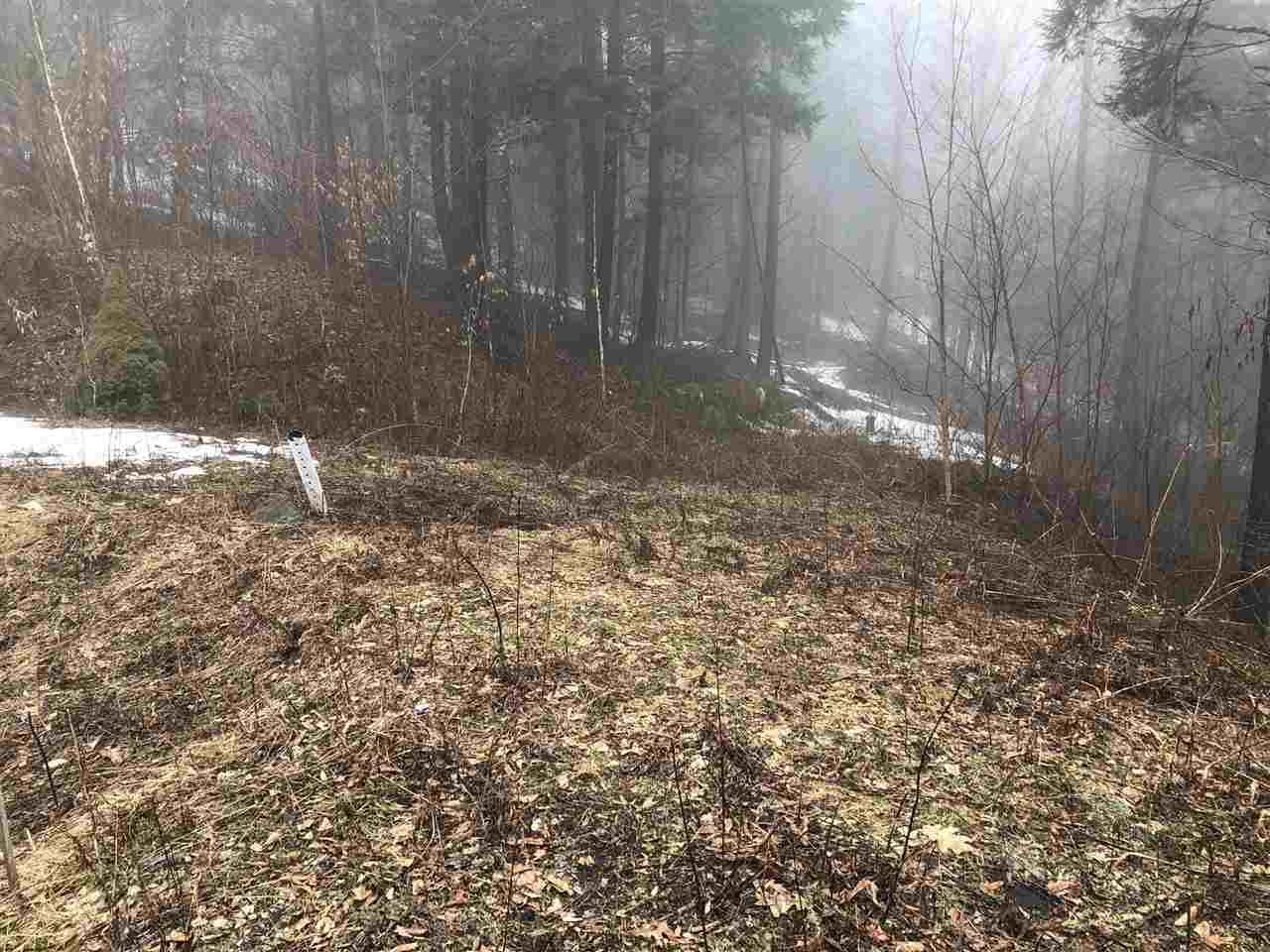 590 Holbrook Road Whitingham, VT 05361 - Photo 3 of 8